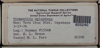 Image Associated With the Occurence